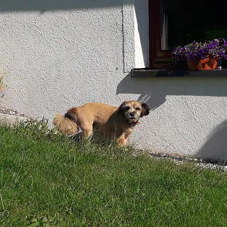 Fenowe Wzgórze * Stronie Śląskie