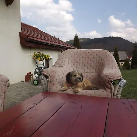 Fenowe Wzgorze