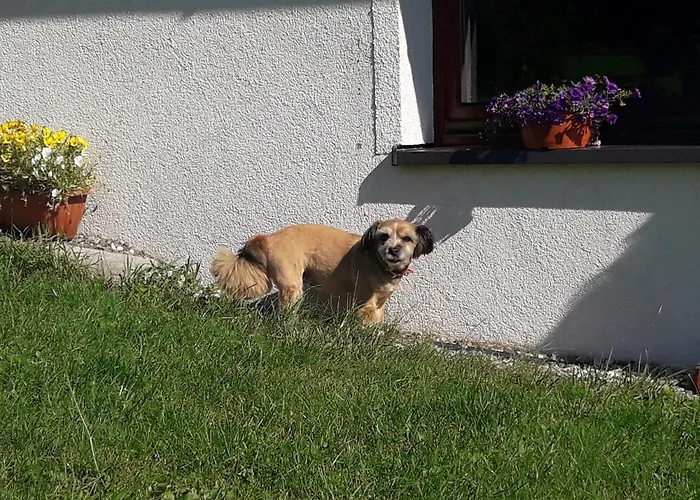 Fenowe Wzgórze * Stronie Śląskie