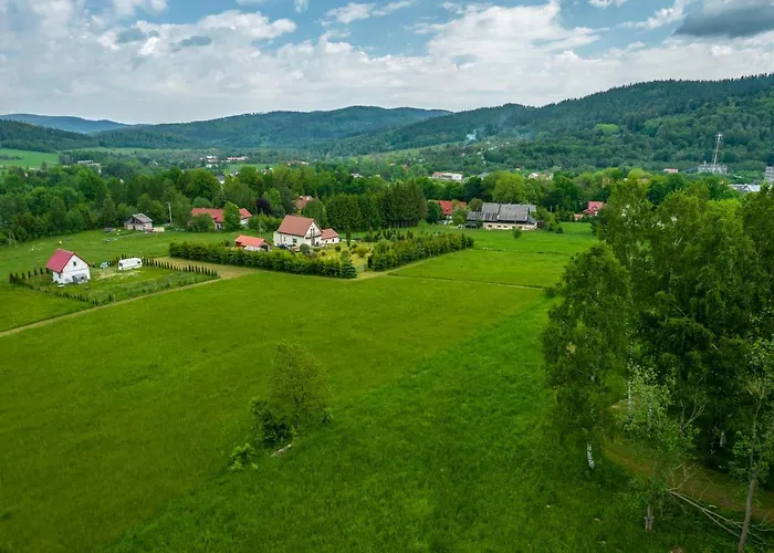 Apartament Fenowe Wzgórze *