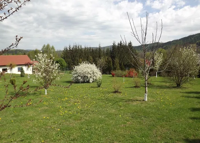 Fenowe Wzgórze * Stronie Śląskie