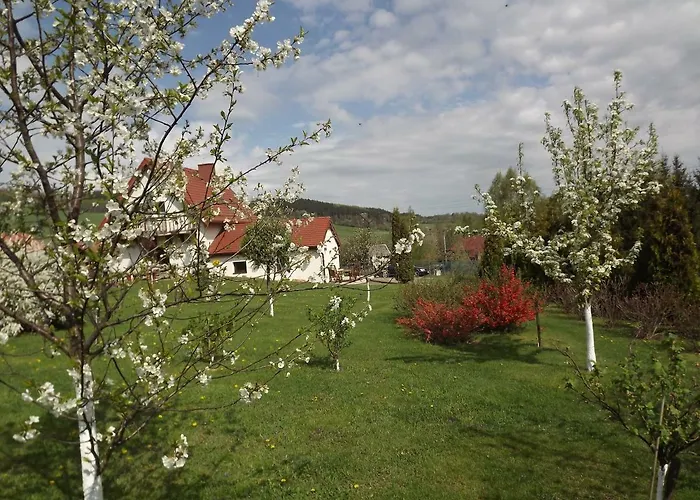 Apartament Fenowe Wzgórze *