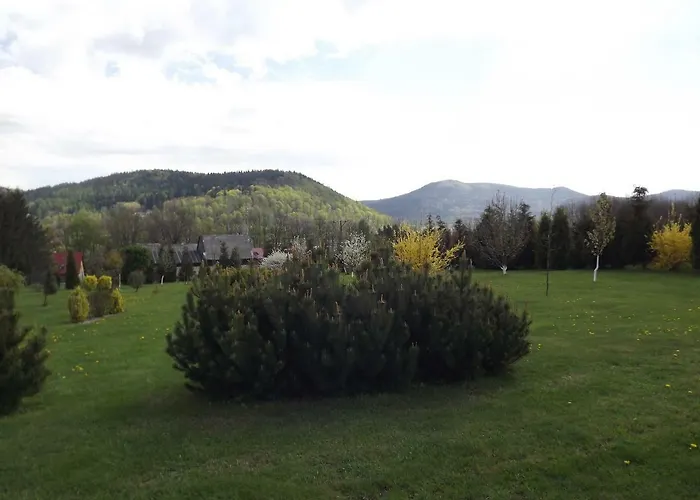 Apartament Fenowe Wzgórze *